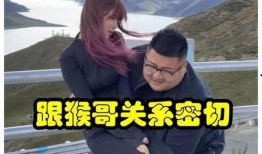 网红黑料爆料网 明星视频在线观看,明星视频在线观看背后的真相